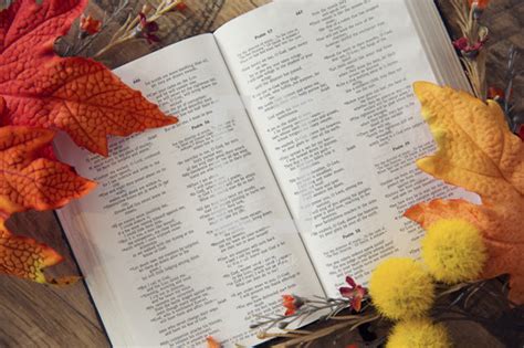 Fall Trimmings And An Open Bible — Photo — Lightstock