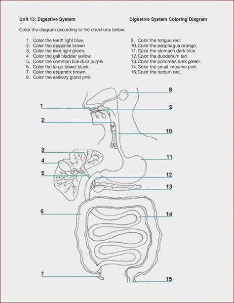 Digestive System Diagram Quiz