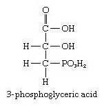 Check spelling or type a new query. carbohydrate | Definition, Classification, & Examples ...