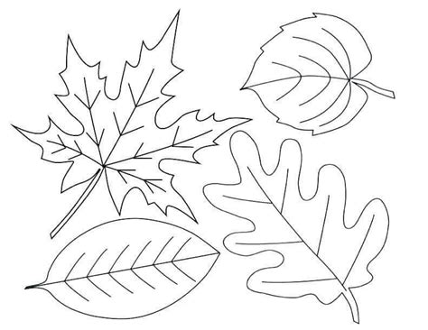 [High Resolution] Free Printable Autumn Leaves To Color
