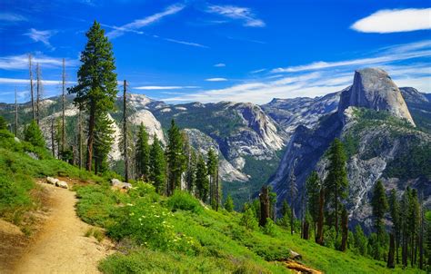 Wallpaper Trees Mountains Ca Path California Yosemite Valley