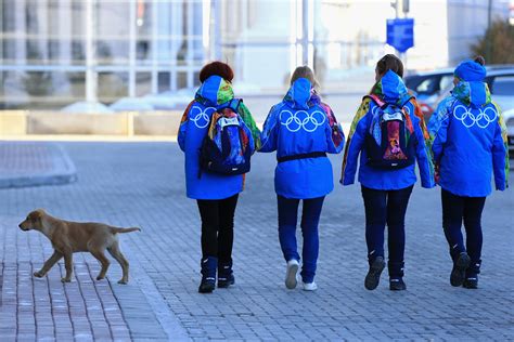 Stray Dogs Being Disposed Of In Sochi Ahead Of 2014 Winter Olympics