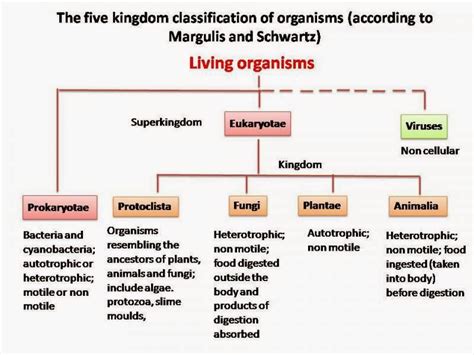 Classification Of Living Things System Of Classification Two Kingdom Riset