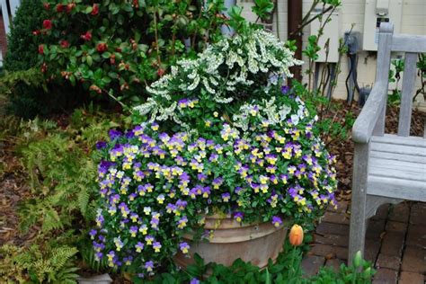 Plant Combinations For Containers Hgtv Plants Planter Pots Outdoor