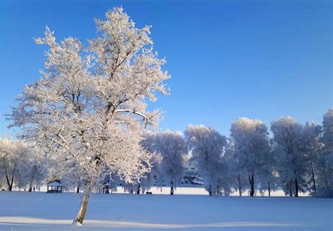 Finland Freeze Frost January Minus Degrees Sub Zero Winter In
