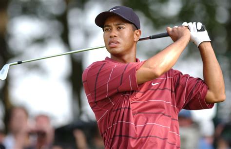 Eldrick Tont Tiger Woods Biografia Altura E HistÓria De Vida