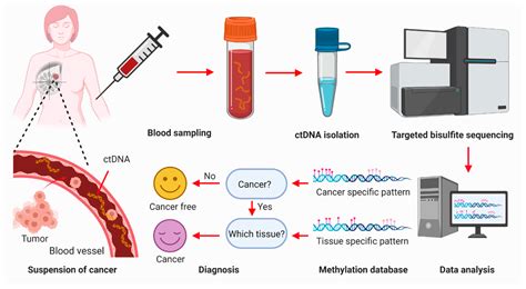Cancers Free Full Text Non Invasive Biomarkers For Early Detection