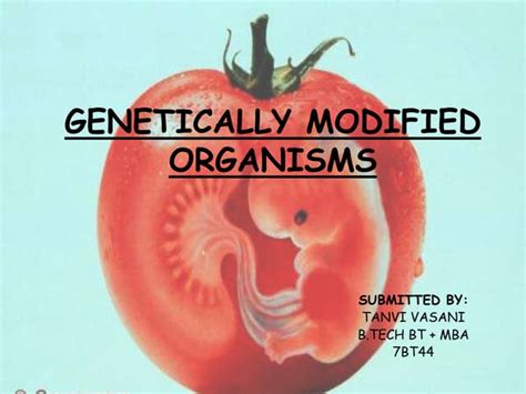 Genetically Modified Organisms Gmo Ppt