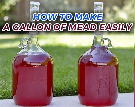 How to Make a Gallon of Mead Easily | Mead recipe, Mead wine, Brewing