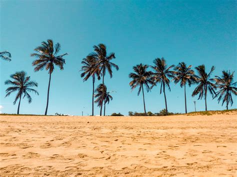 Download A Group Of People On A Beach