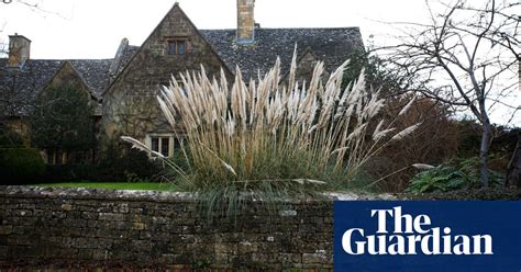 Pampas Grass The Not So Secret Symbol Of Swingers Is A Turn Off