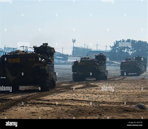 Korean Amphibious Assault Vehicles With Republic Of Korea Marine Corps