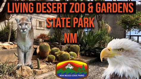 Living Desert Zoo And Gardens State Park Carlsbad Nm Youtube