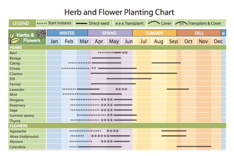 Herb And Flower Planting Chart Herbs Plants Flower Chart