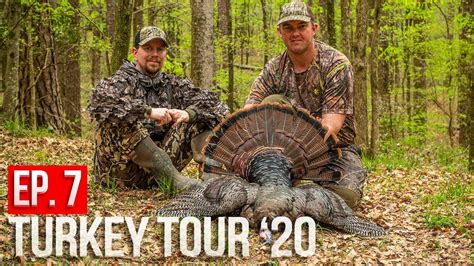 Mississippi Public Land Gobbler Hunting Creek Bottom Turkeys Youtube