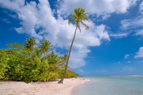 Schauen sie sich bewertungen und fotos von 10 strände in guadeloupe, karibik auf tripadvisor an. Beste Reisezeit - Beste Reisezeit Guadeloupe