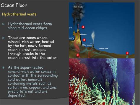 Ppt Earth Science 142 F Eatures Of The Ocean Floor Powerpoint