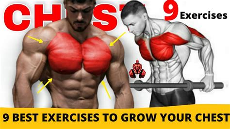 How To Build Chest Muscles Fast 9 Best Chest Workout Exercises Youtube