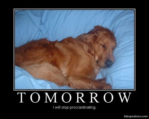 Tomorrow Demotivational Posters Sleeping Dogs Inspirational Posters