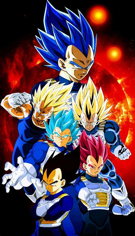 Vegeta All Forms Dragon Ball Super Anime Dragon Ball Super Dragon Ball Super Artwork Kulturaupice