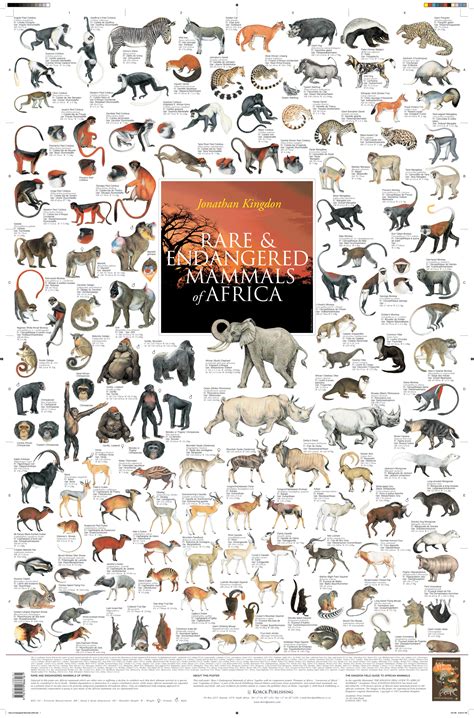 Mammals Of Southern Africa Poster Africa Animals Rare - vrogue.co
