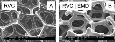 Nanostructured manganese dioxide (mno<sub>2</sub>) has attracted extensive attention in the field of anticancer applications. Conformal electrodeposition of manganese dioxide onto ...