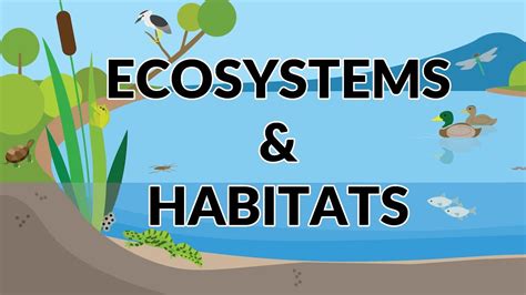Difference Between Ecosystem And Habitat Science For Kids Youtube