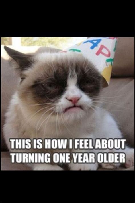 17 Best Images About I Love You Grumpy Cat On Pinterest