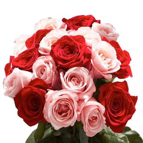 50 Stunning And Adorable Red And Pink Roses Available Online A Box