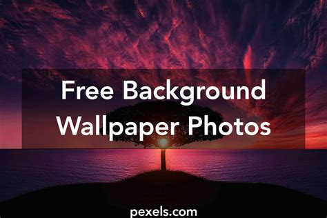 1000 Engaging Background Wallpaper Photos · Pexels · Free Stock Photos