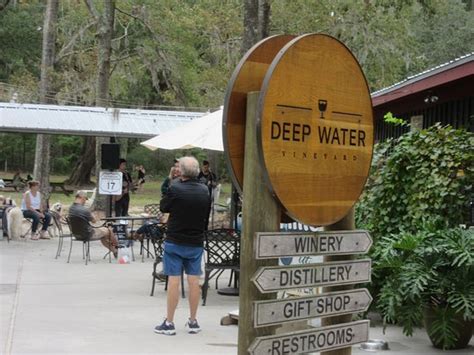 Deep Water Vineyard Wadmalaw Island All You Need To Know BEFORE You Go With Photos