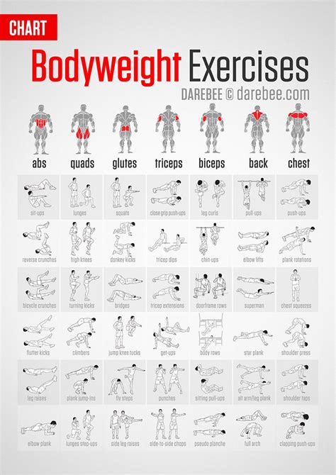 Bodyweight Exercises Muscle Map Drinks Exercise For Kids