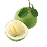 We did not find results for: Pomelo nutrition chart, glycemic index and rich nutrients