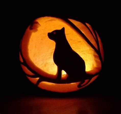 Cat In A Tree Pumpkin Carving I Carved This Last Night For My Works