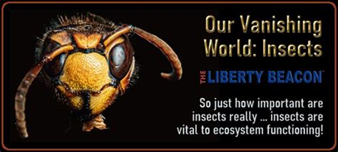 our vanishing world insects fi 10 30 19 the liberty beacon