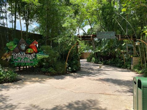 Rainforest cafe animal kingdom can be entered from outside the park, so you don't need park tickets to dine there. PHOTOS: Rainforest Cafe Reopens at Disney's Animal Kingdom ...