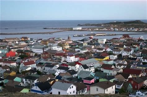 Sur les côtes, la végétation es quasi subarctique avec des lichens et des conifères. Office de tourisme de Saint-Pierre-et-Miquelon, 975 et ...
