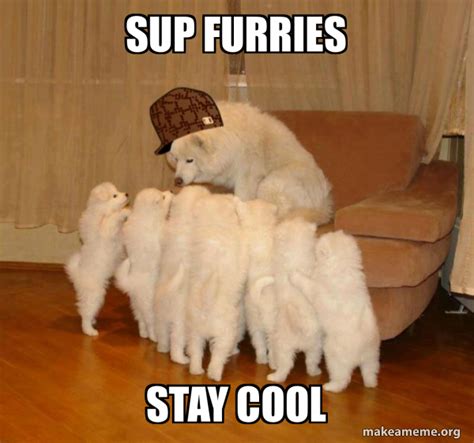 Sup Furries Stay Cool Scumbag Storytelling Dog Make A Meme