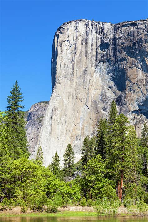 El Capitan Yosemite National Park California Photograph By Neale And