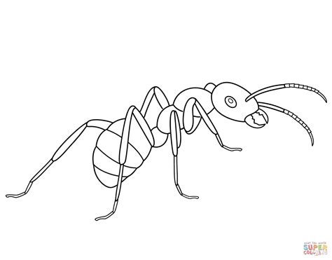 Ant coloring page | Free Printable Coloring Pages