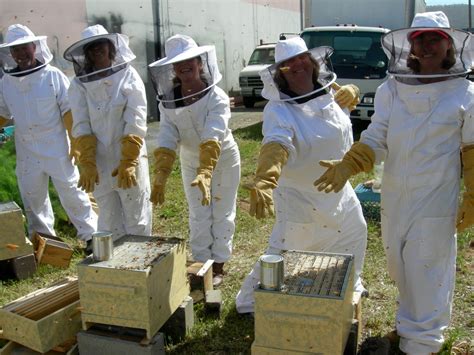 Beginner And Advanced Beekeeping Classes Hands On In The Hive Sf Honey