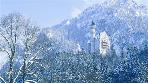 Neuschwanstein Castle In Winter Backiee