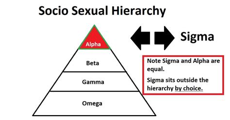 Sigma Males And Relationships