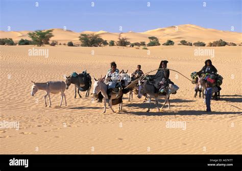 Tuareg Niger Camel Stockfotos And Tuareg Niger Camel Bilder Alamy