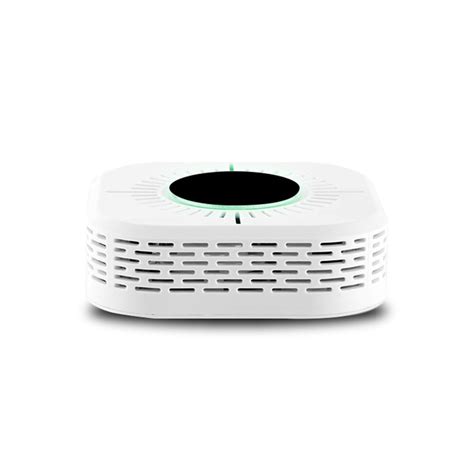 Carbon Monoxide Smoke Alarm 2 In 1 Household 110db Multi Functional