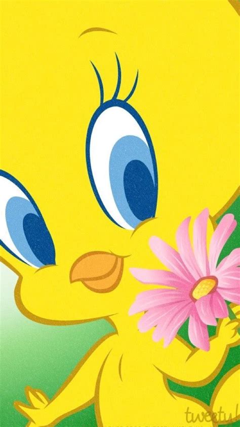 594 Best Images About Tweety On Pinterest