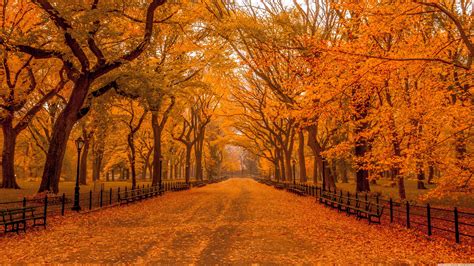 Autumn Landscape Desktop Wallpaper