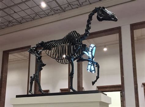 Time spent at the barn is quality time. Nicht erschrecken: Hans Haackes "GIFT HORSE" im Münchner ...