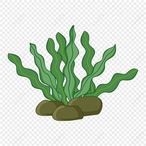 Vigorous Seaweed Clipart Seaweed Clipart Vigorous Seaweed Clipart My Xxx Hot Girl