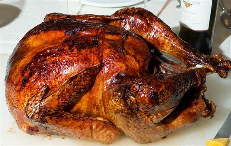 Poultry Turkey Management Animal Husbandry Home